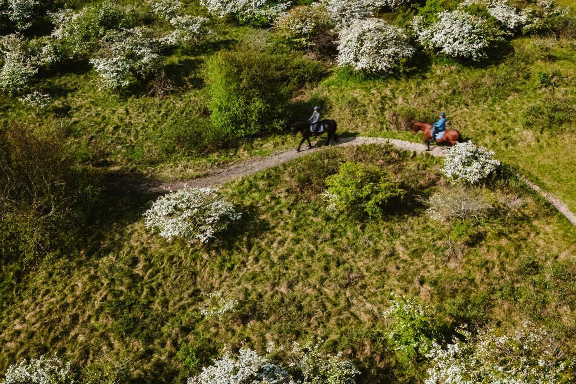 Hotel Das Miramar 보르쿰 외부 사진